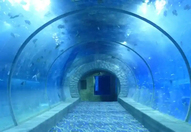 Underwater acrylic tunnel at an aquarium, showing fish swimming above.