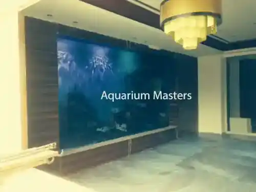 in-the-wall acrylic aquarium
